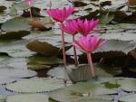 ภาพโดย(T.suwan)